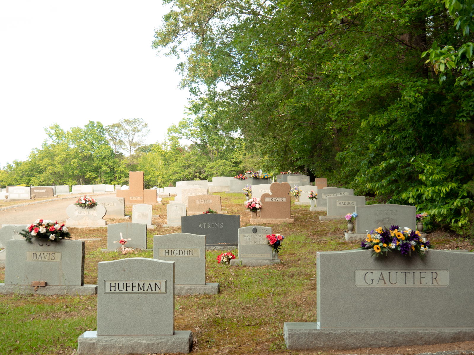 Traditional Plot